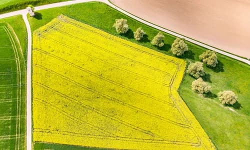 Drohnen-Gesetze in Kolumbien ✈️ Regeln & Vorschriften