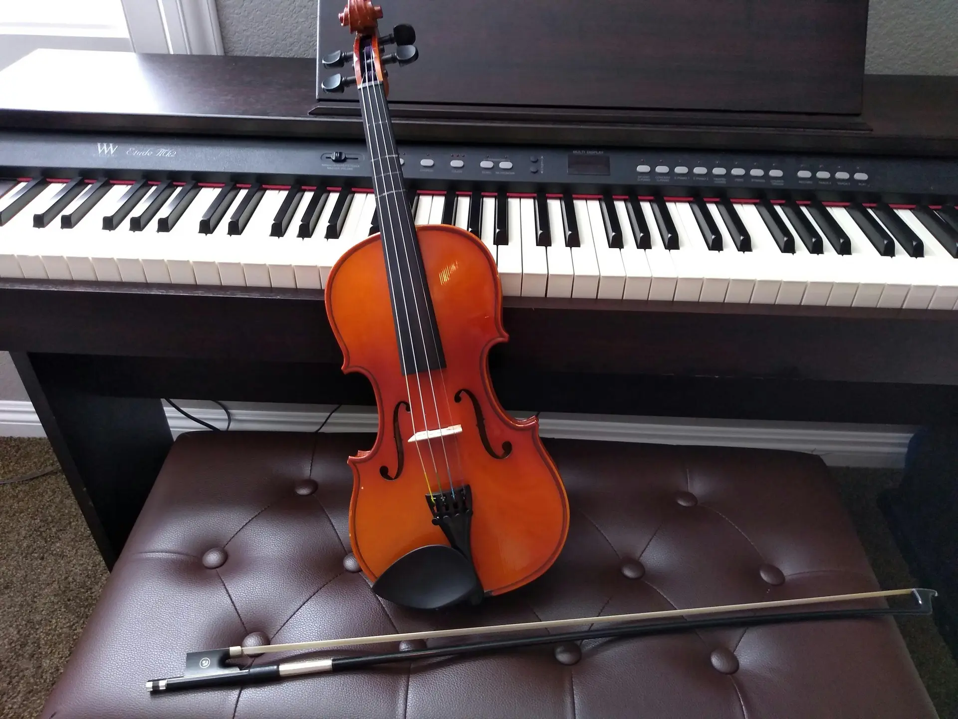 Instrumentenversicherung ❤️ Ab 4,69€/Monat | KI-Vergleich