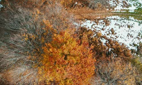 Gewerbliche Drohnenversicherung: Der ultimative Guide