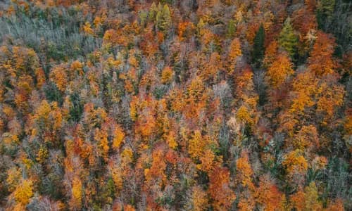 Private Drohnenversicherung: Dein Schutzschild in der Luft