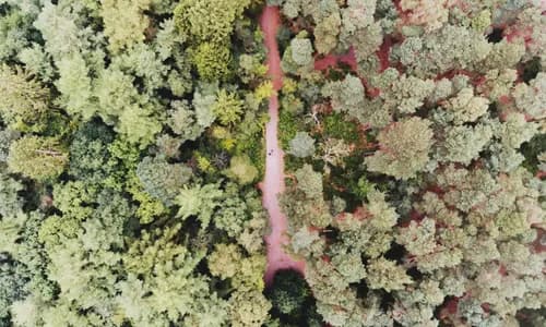 Drohnen-Gesetze Bosnien-Herzegowina ✈️ Regeln & Vorschriften 2025